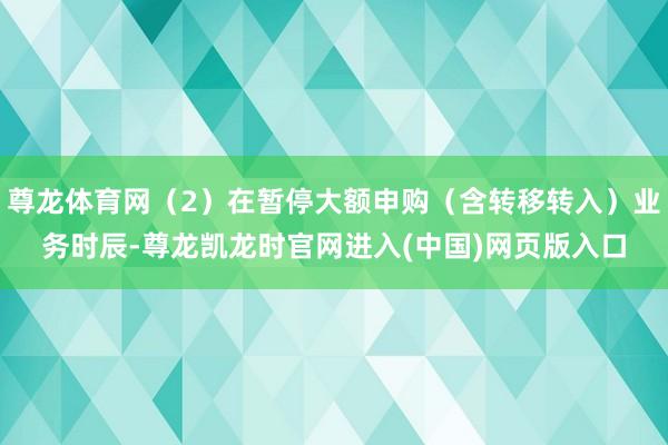 尊龙体育网（2）在暂停大额申购（含转移转入）业务时辰-尊龙凯龙时官网进入(中国)网页版入口