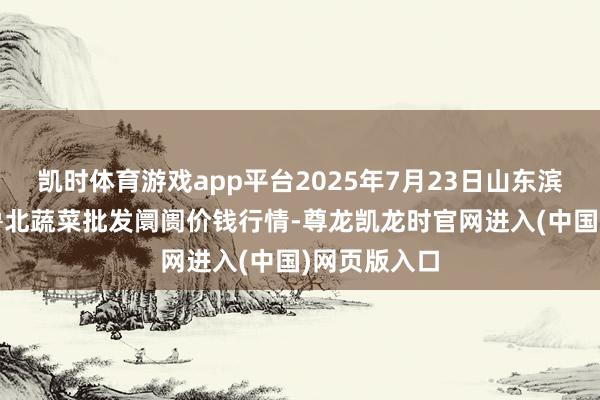 凯时体育游戏app平台2025年7月23日山东滨州(六街）鲁北蔬菜批发阛阓价钱行情-尊龙凯龙时官网进入(中国)网页版入口