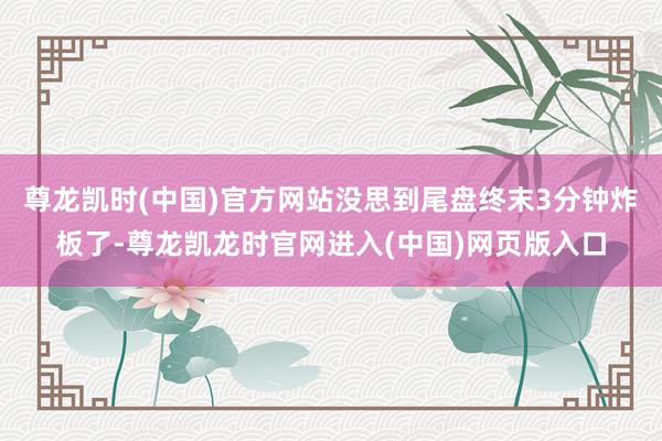 尊龙凯时(中国)官方网站没思到尾盘终末3分钟炸板了-尊龙凯龙时官网进入(中国)网页版入口