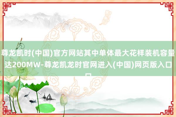 尊龙凯时(中国)官方网站其中单体最大花样装机容量达200MW-尊龙凯龙时官网进入(中国)网页版入口