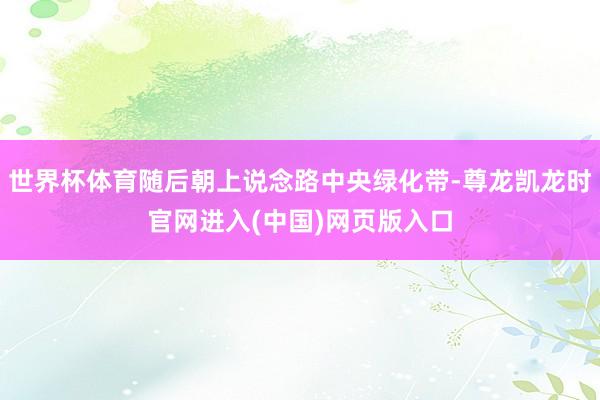 世界杯体育随后朝上说念路中央绿化带-尊龙凯龙时官网进入(中国)网页版入口