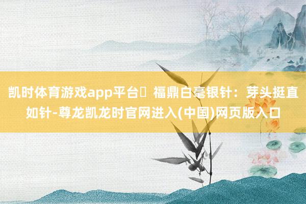 凯时体育游戏app平台✅福鼎白毫银针：芽头挺直如针-尊龙凯龙时官网进入(中国)网页版入口